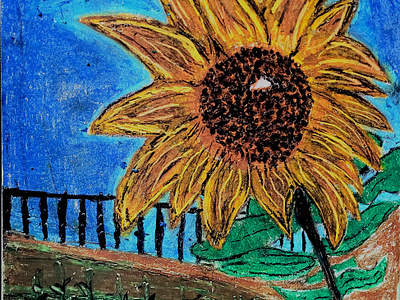 // Sunflowers coloful drawing illustration oil pastel oil pastels sunflower