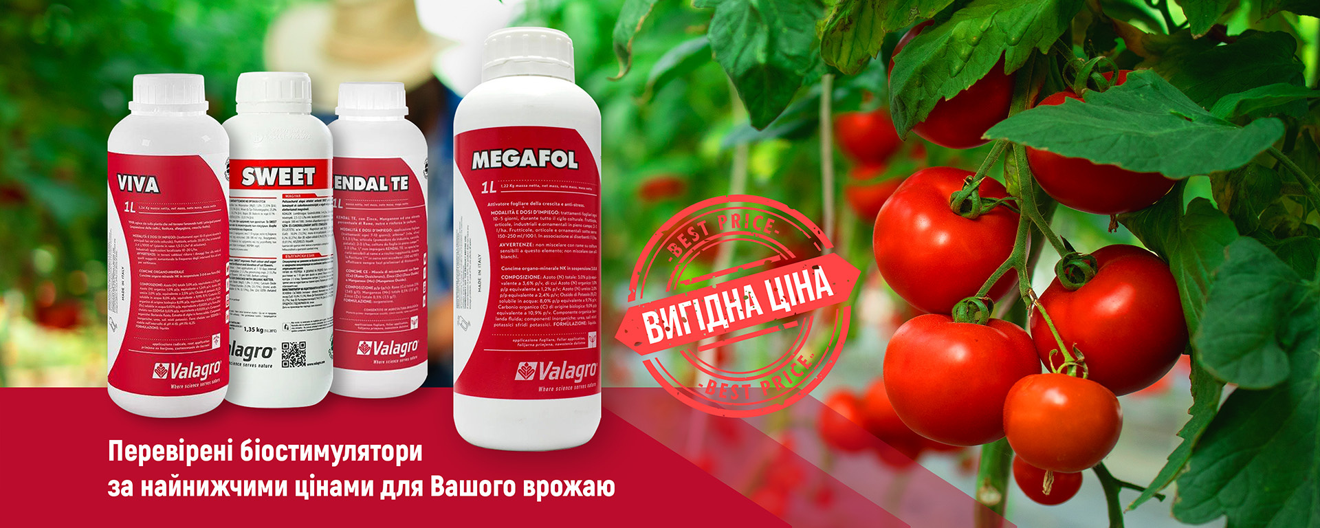 Graphic product for an online store branding design graphic design illustration illustrator typography