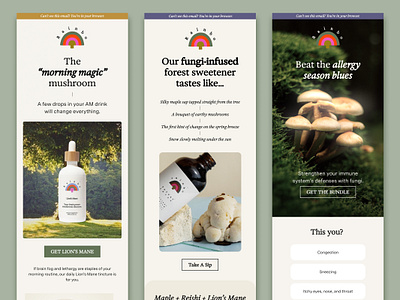 Email Design for Mushroom Brand | Nudge Email & SMS Marketing email design email marketing health and wellness loyalty marketing mushroom retention marketing sms marketing supplements