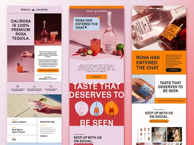 Email Design for Tequila Brand | Nudge Email Marketing branding design email design email marketing graphic design marketing