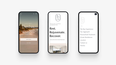 The Bay - Web Design responsive design web design