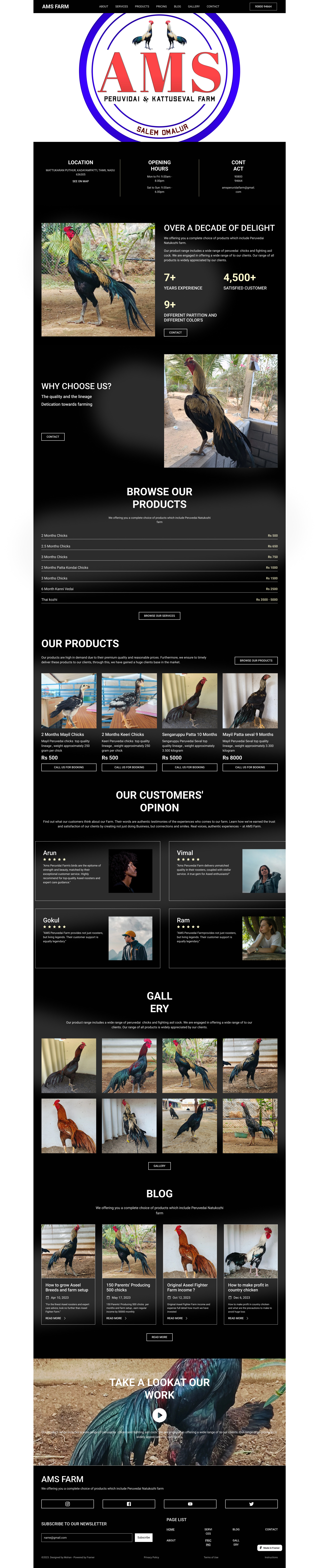 Country Chicken & Aseel website for desktop and mobile design 3d animation branding design graphic design logo motion graphics ui ux vector