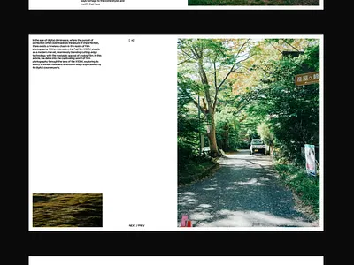 Film Photography Portfolio Layout animation film photography grid layout photography portfolio website product design ui ui animation uiux ux uxui web design webdesign