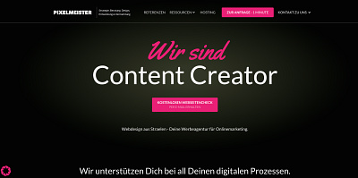 Project - Pixelmeister branding graphic design logo ui