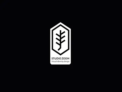 Studio Zoom logo branding branding style filming logo graphic design logo logo design logog studio zoom visual identity design zoom zoom logo