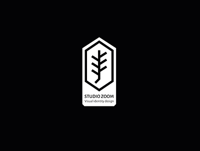 Studio Zoom logo branding branding style filming logo graphic design logo logo design logog studio zoom visual identity design zoom zoom logo