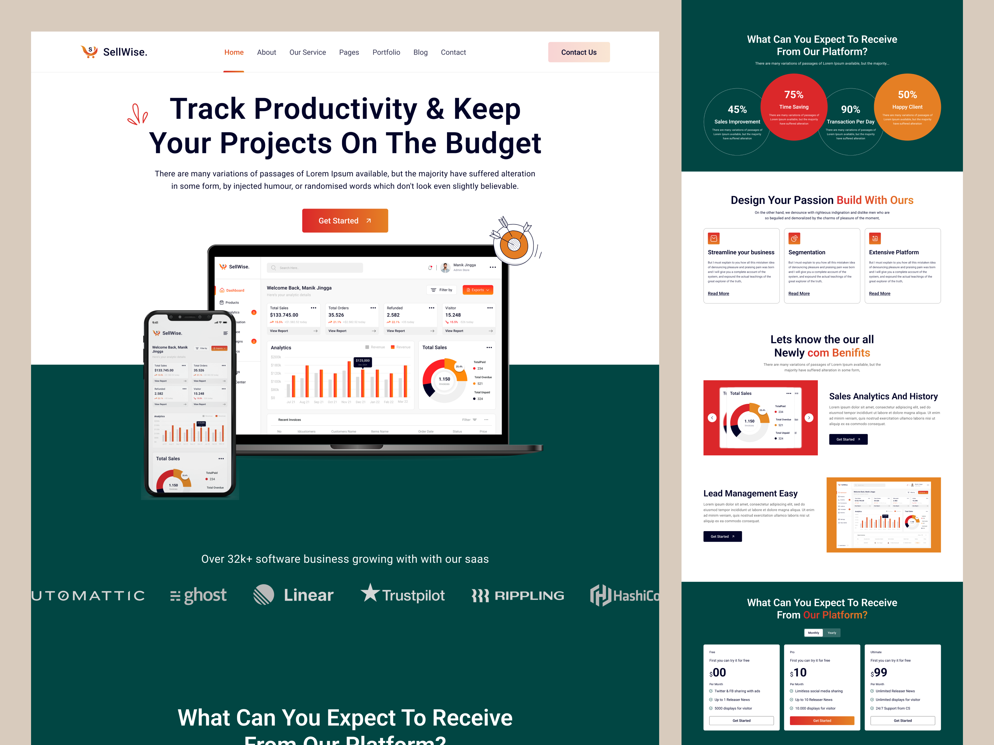 Example of Saas Marketing Landing Page