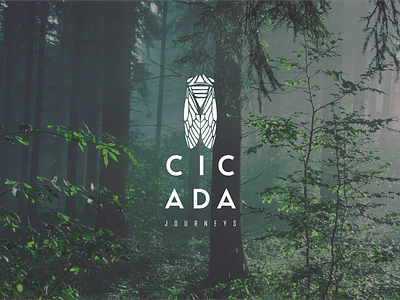 Cicada Journeys adobe illustrator brand identity brand identity design branding design graphic design identity design illustration logo logo design logomark