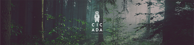 Cicada Journeys adobe illustrator brand identity brand identity design branding design graphic design identity design illustration logo logo design logomark