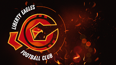 LIBERTY EAGLES FC | Branding logobook branding footbal guidelines logo logobook logofolio logotype soccer