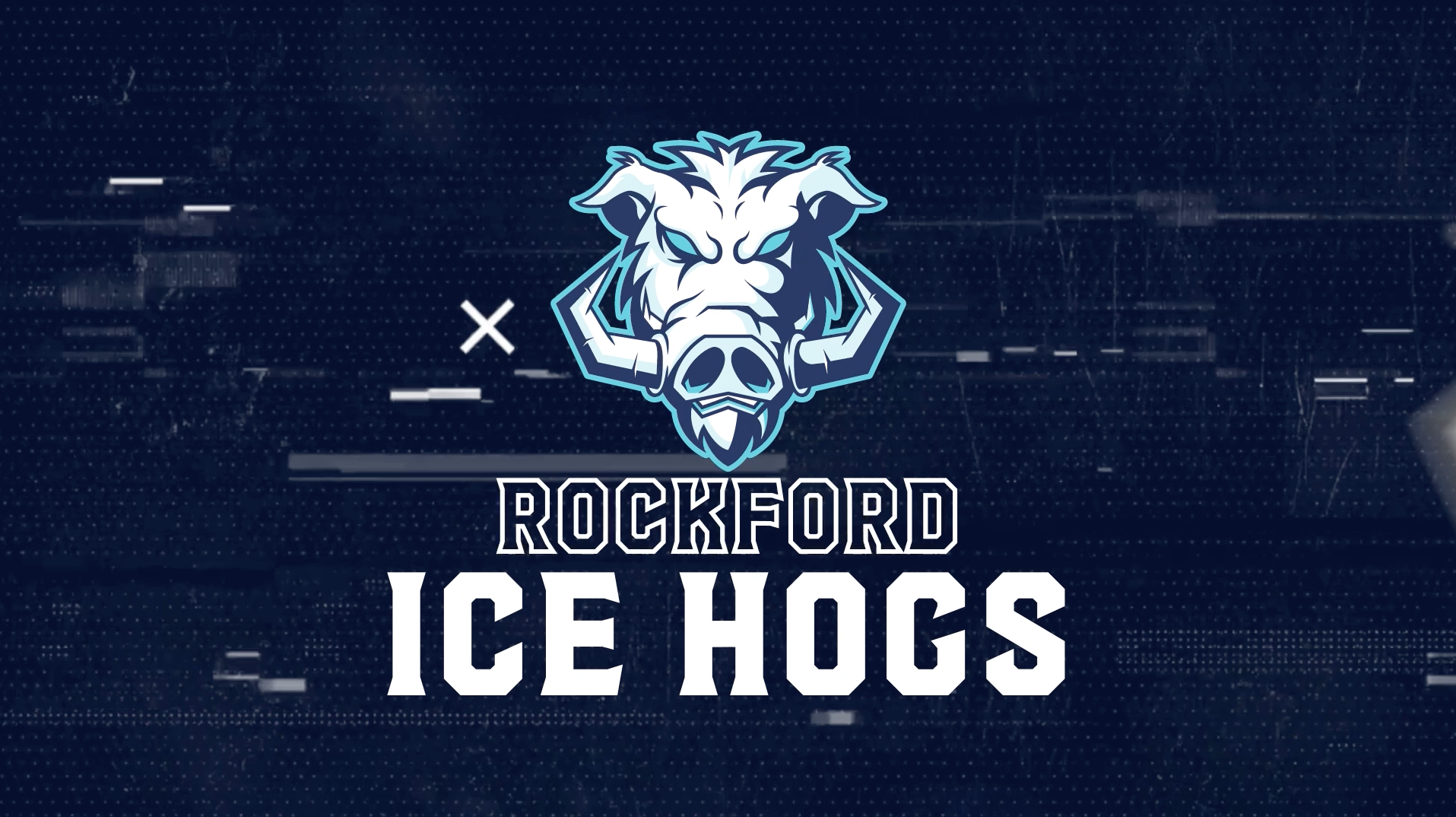 Ice Hogs Logo Animation after effects animation design glitch hog illustration logo logo reveal pig sports warthog