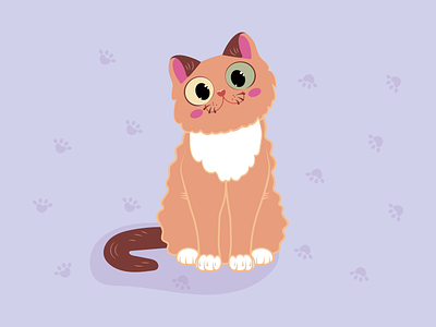 Character - a cute cat a kitten adobe illustrator beautiful kitty branding cat character cute cat design graphic design illustration kitty logo logo cat pets sweet cat ui ux vector