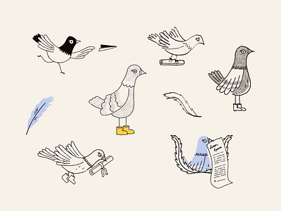 Pigeon Studies bird brand design branding design drawing illustration mascot