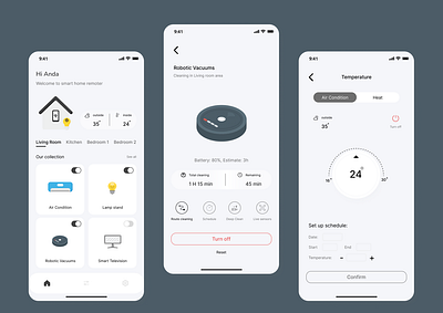 Smart Home Remoter branding ui