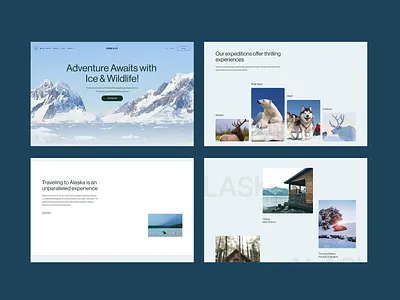 Travel website landing page exploration design hotel illustration landing page minimal mobile product design responsive travel ui uiux website wild