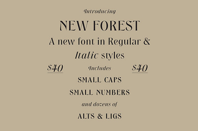 New Forest display font font new forest serif serif font