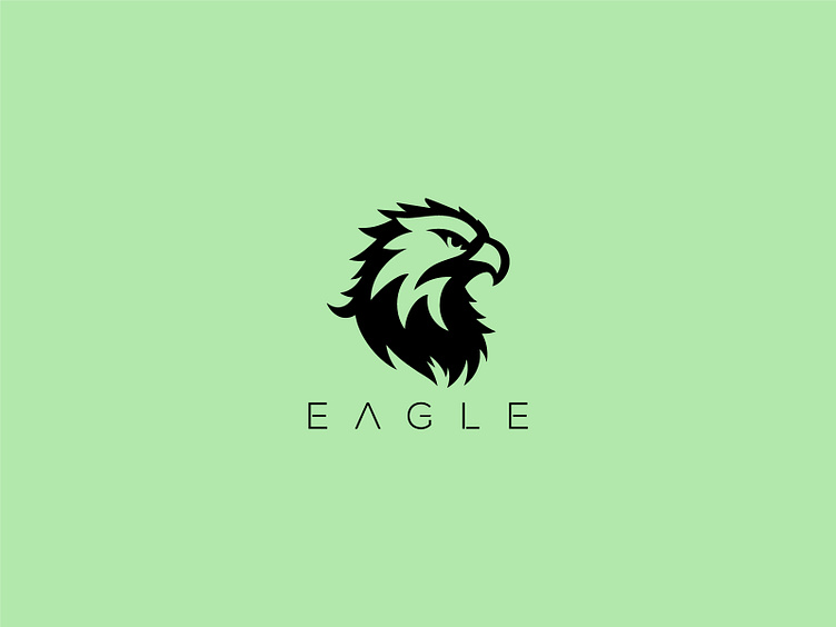 Eagle Logo by HUSSNAIN GRAPHICS on Dribbble