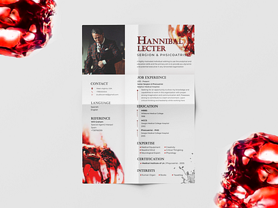 Hannibal Red Color CV design cv design resume