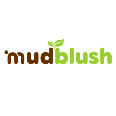 Mudblush | Brand Identity branding graphic design logo motion graphics