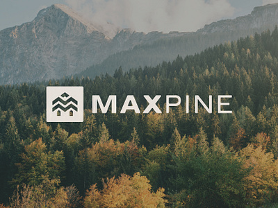 Maxpine branding design graphic design identity logo pine tree typography vector
