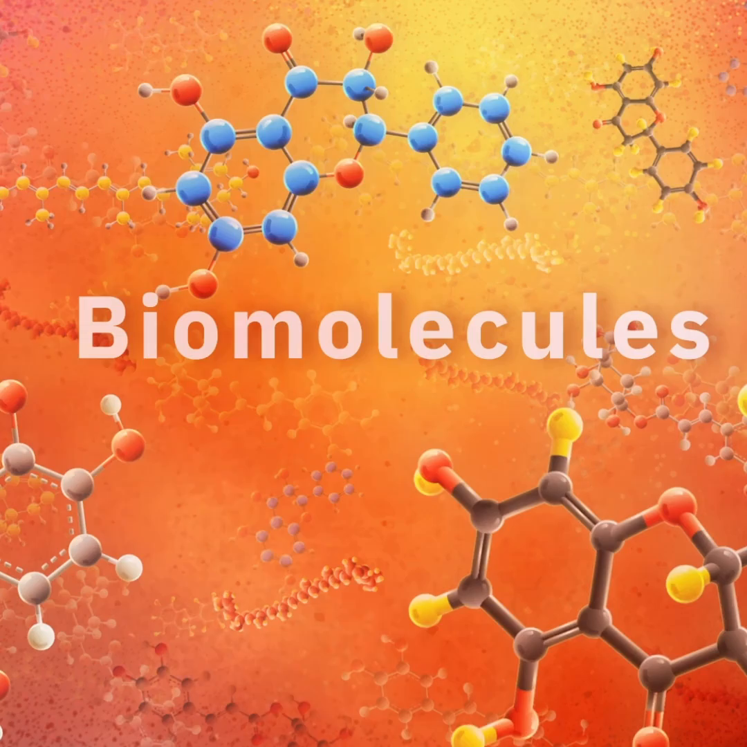 Biomolecules in Tomato Animation by Iryna Evans on Dribbble