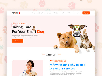 Pet Care Website Design branding design graphic design illustration logo pet typography ui uiux ux ux design