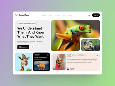 Animals Donation Web Design animal design donate ui uiesign uiuxdesign ux webdesign