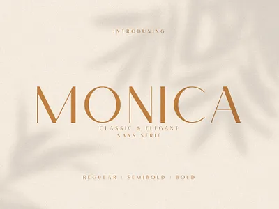 Monica - Classic & Elegant Sans art brand branding chic design elegant font logo logotype modern monica sans serif simple stylish type type design typeface typography unique