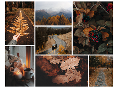 MoodBoard : Dusky Autumn autmn branding brown canva dusky energetic forest graphic design inspiration instagram leaves lively logo moodboard radiant trees trending uiux vibrant