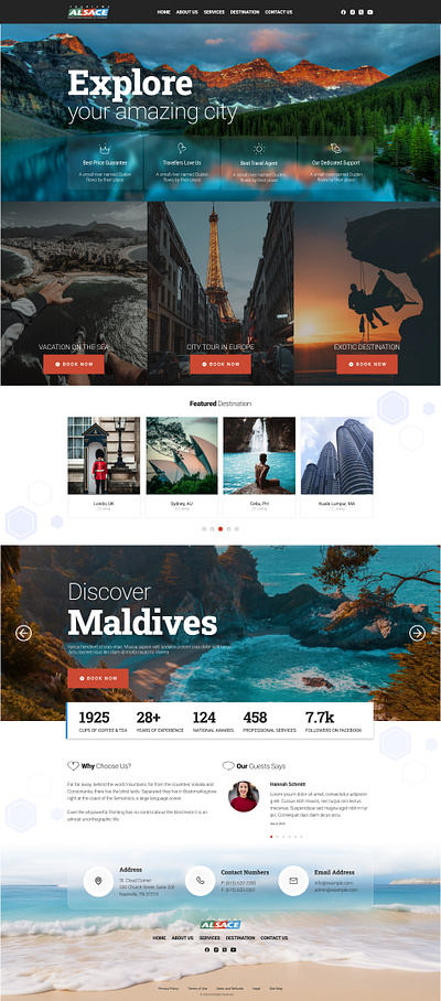 Tourism website concept