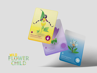 WFC Cards brand creative direction design hike identity illustration thewayfindercompany wild flower child wildflower child wildflowers