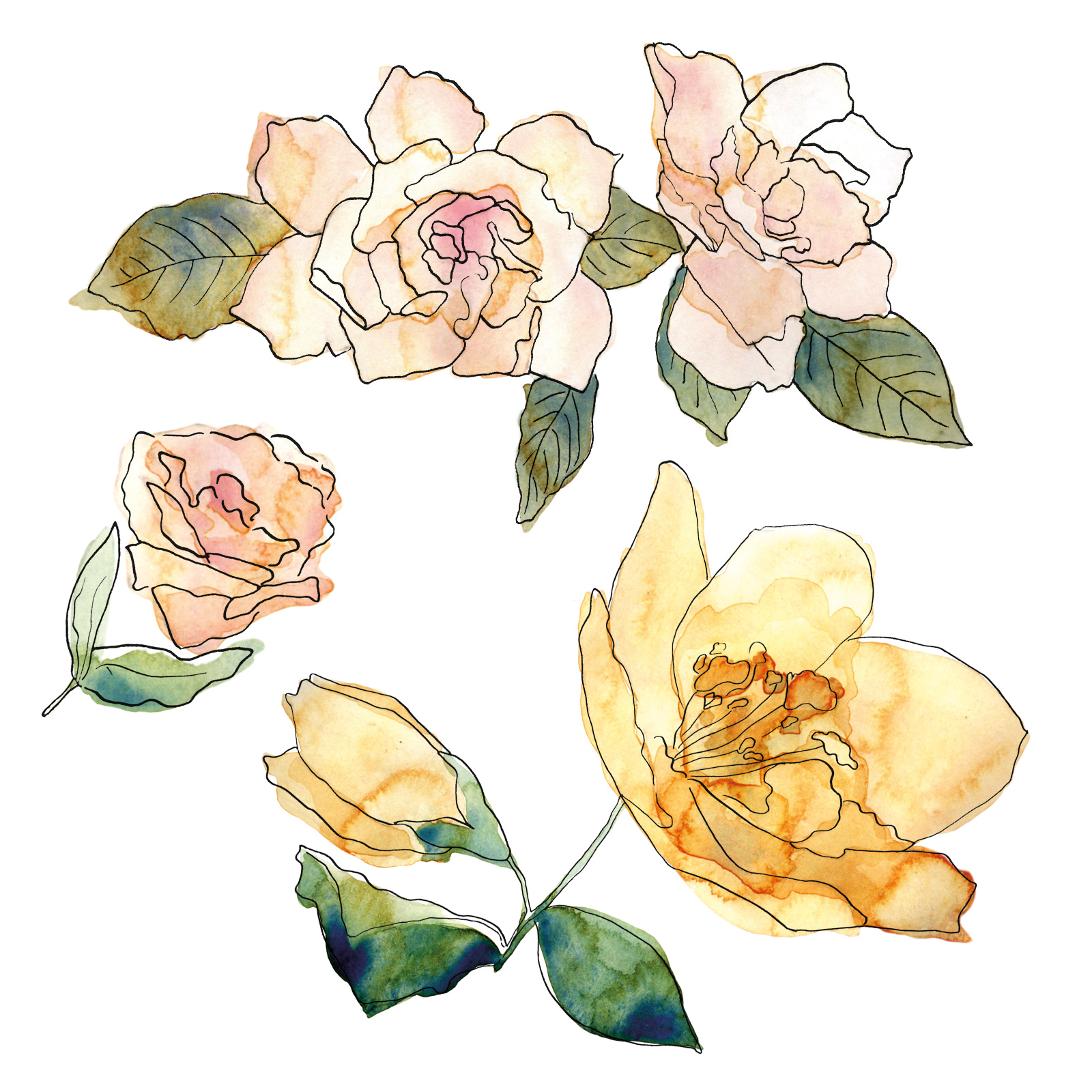 Flowers art º flowers illustration watercolours wedding