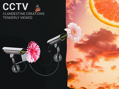 CCTV - Collage abstract branding collage dark design flower graphic design illustration inspiration orange photo collage photoshop sunset vector