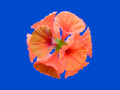 Alien flower ☺ 3d 3d art 3d design blender cgart cgi dribbble easter geo nodes graphic design logo product top vector vector illustration
