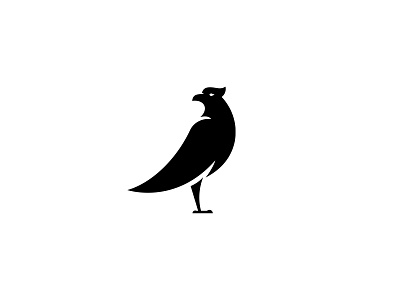Eagle Way alex seciu bird bird logo branding eagle eagle logo logo design