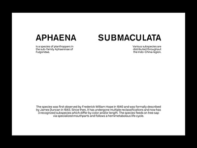 Minimalist typography | Editorial layout, pt. 8 design editorial figma graphic design grid landing landing page layout minimal minimalism minimalist poster swiss typographic typography ui ui design user interface web