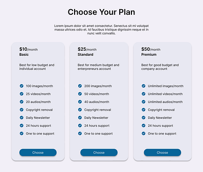 Pricing Plan UI buying plan design minimal design plan pricing pricing option pricing page simple ui user interface ux