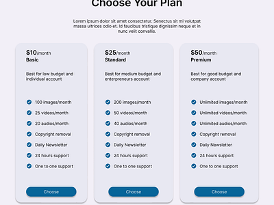 Pricing Plan UI buying plan design minimal design plan pricing pricing option pricing page simple ui user interface ux