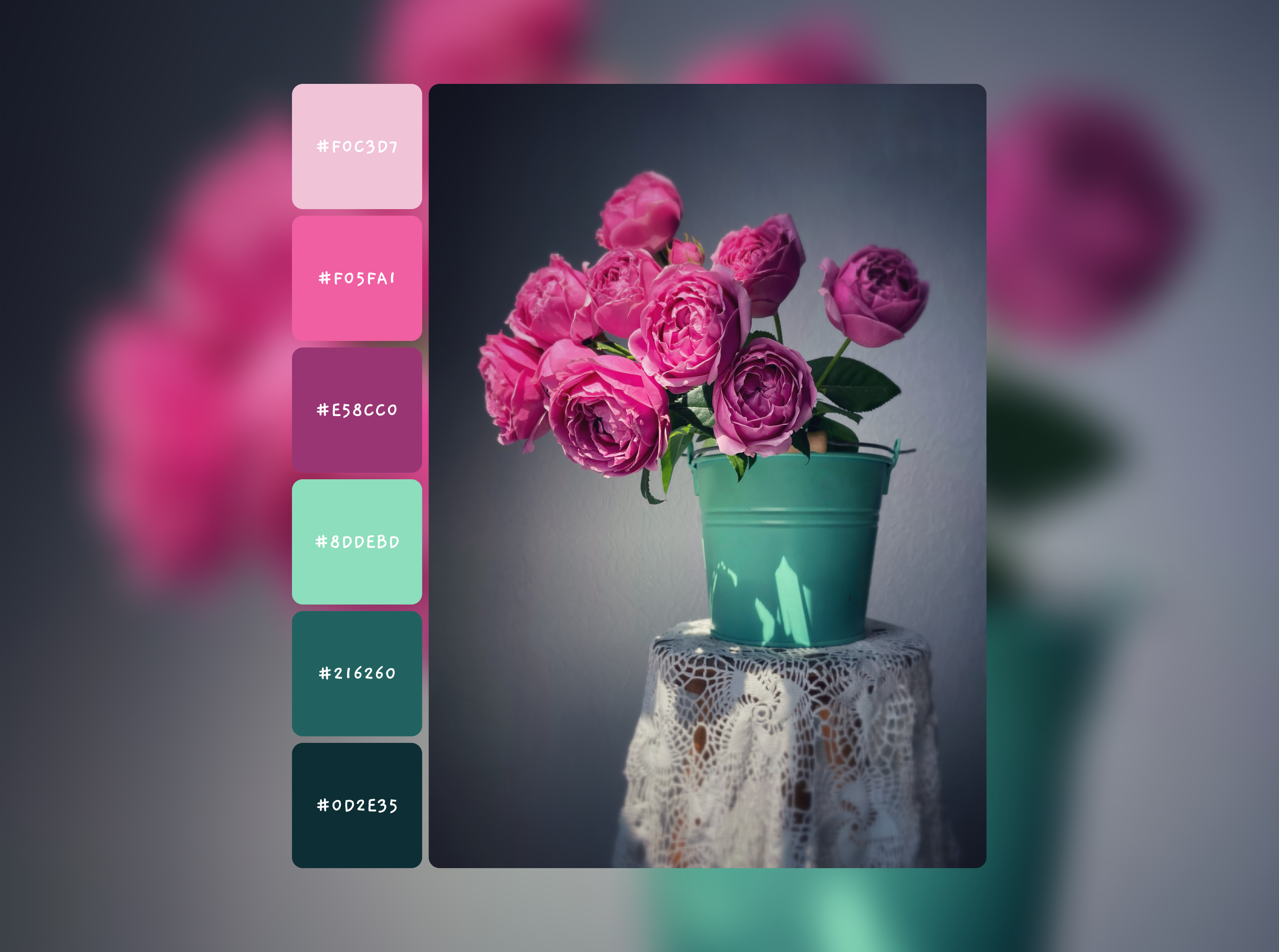 May Color Palette color color palette flower palette flowers may motion palette peony pink pink palette ranúnculus spring spring palette ui
