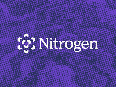 New Case Study: Nitrogen brand agency brand design brand identity branding case study focus lab logo design visual identity