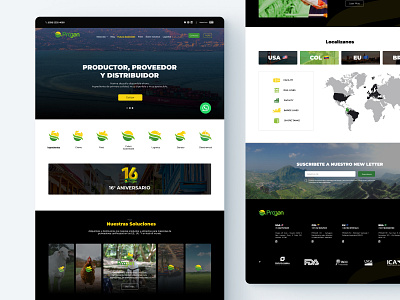 Website design graphic design ui ux