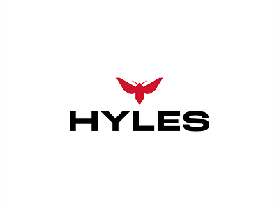 Hyles Skate & Surfwear branding graphic design logo