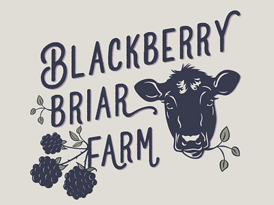Blackberry Briar Farm Logo angus cow berries blackberry cow head earth tones handrawn illustration leaves logo stamp art vector