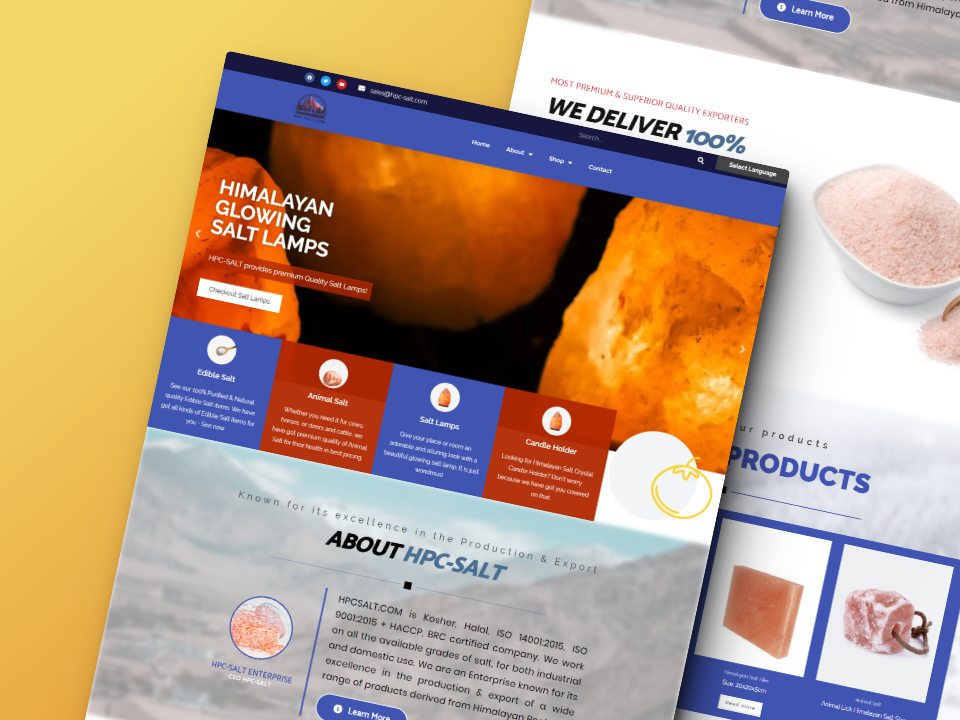 B2B Multilingual Website Design branding design elementor landing page ui web design website design wordpress website
