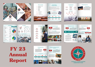 FY 23 Annual Report data vis graphic design