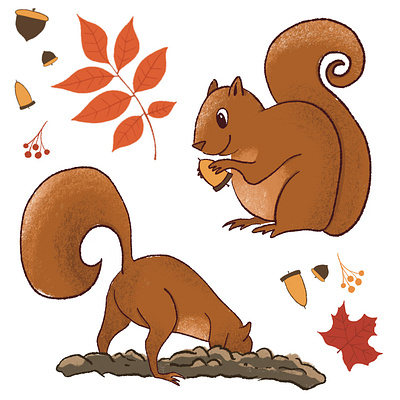 Squirrels! illustration procreate