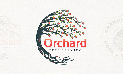 Orchard Logo branding graphic design illustrator logo logo design orchard logo peach peach fruit logo peach logo peach tree