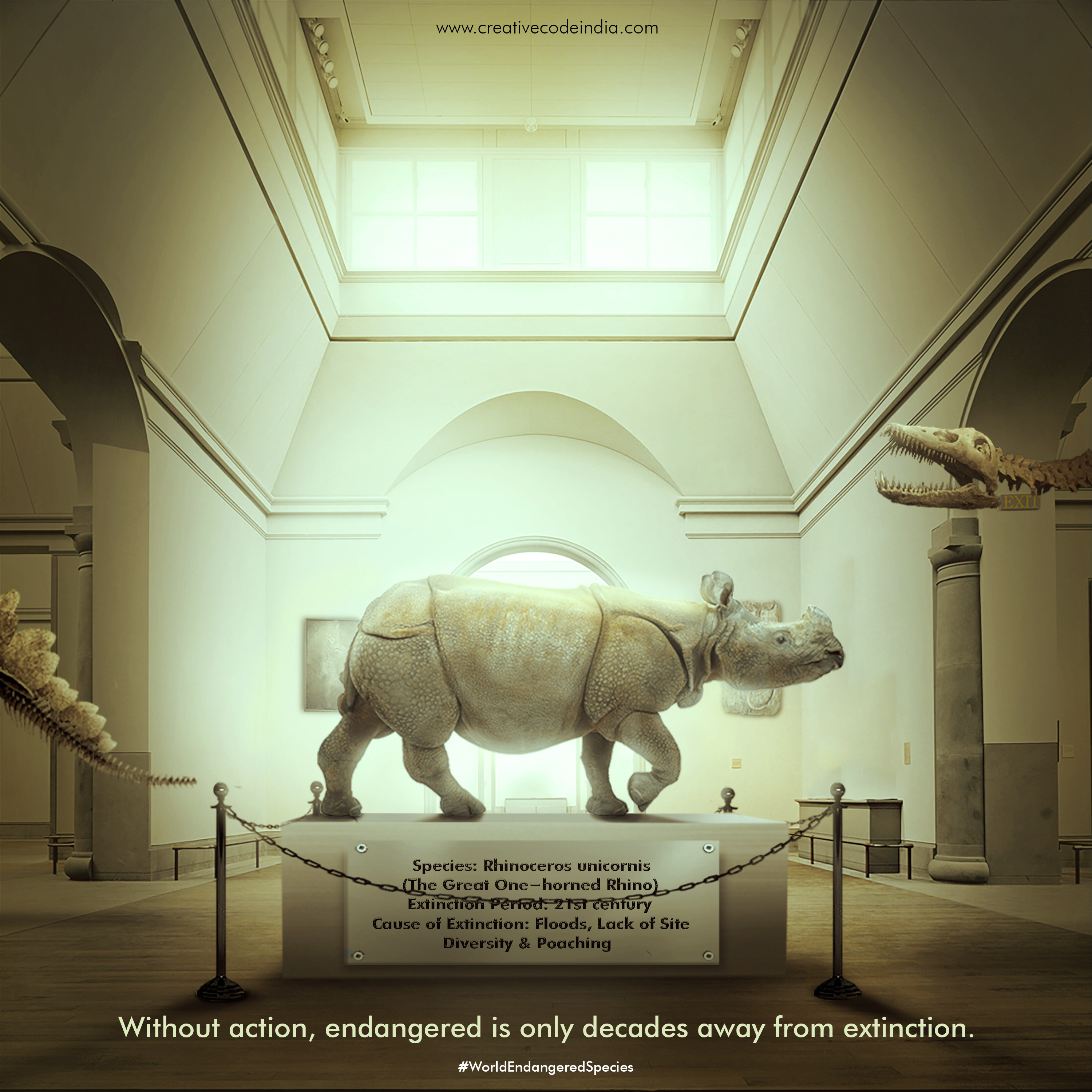 Endangered Day graphic design