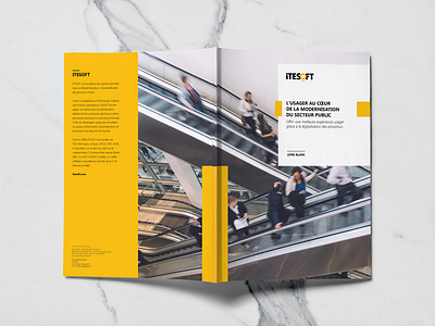 ITESOFT | Marketing & sales supports business case graphic design leaflet print sales tools software sucess stories tech white paper