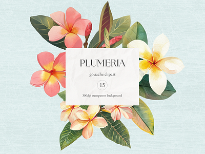 PLUMERIA